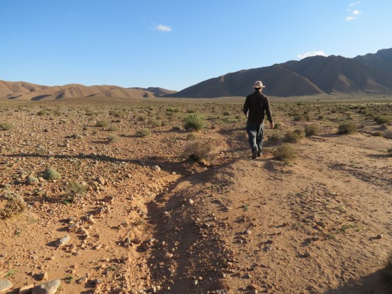 IMG_2290 - Copie - Copie